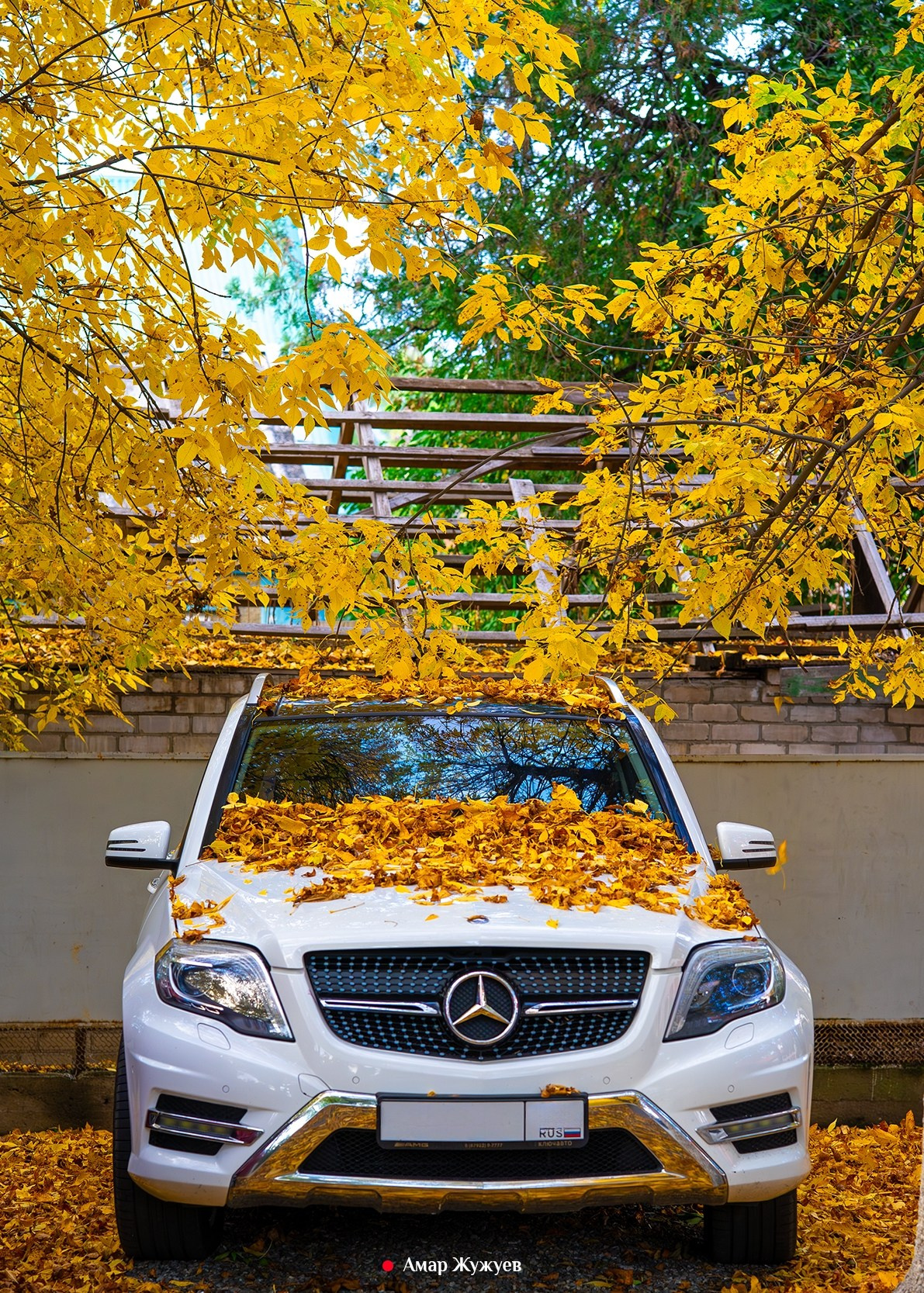 Фотографии города Черкесска. Фотограф из Черкесска Амар Жужуев