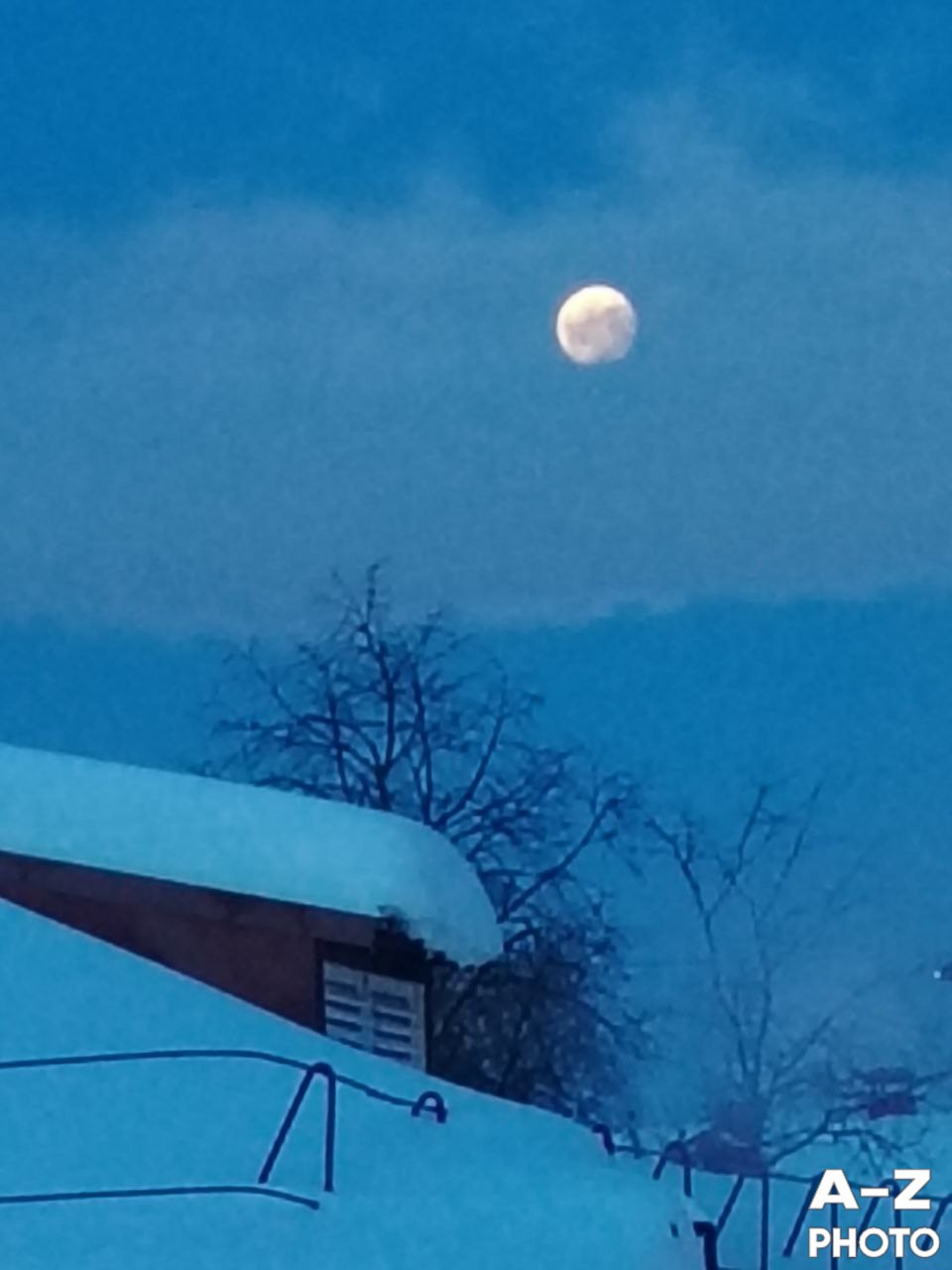 #ФОТОНЕДЕЛИ 09.02.2026. Женский семейный фотограф Тула Москва Захарова Анна