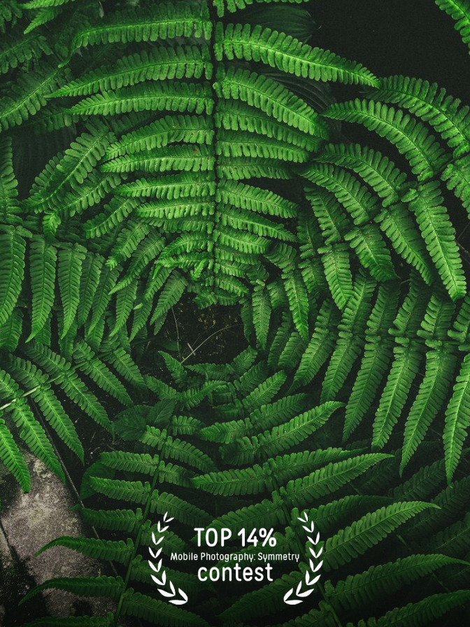 35awards. Семейный и детский фотограф в Обнинске Анастасия Улитко