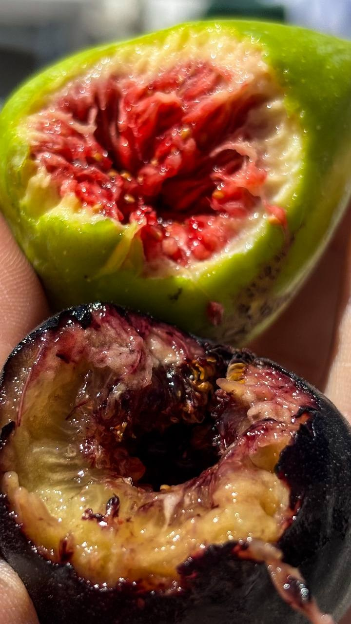 Вкусный юг, село Кабардинка (Геленджик). Персональный фотограф Москва