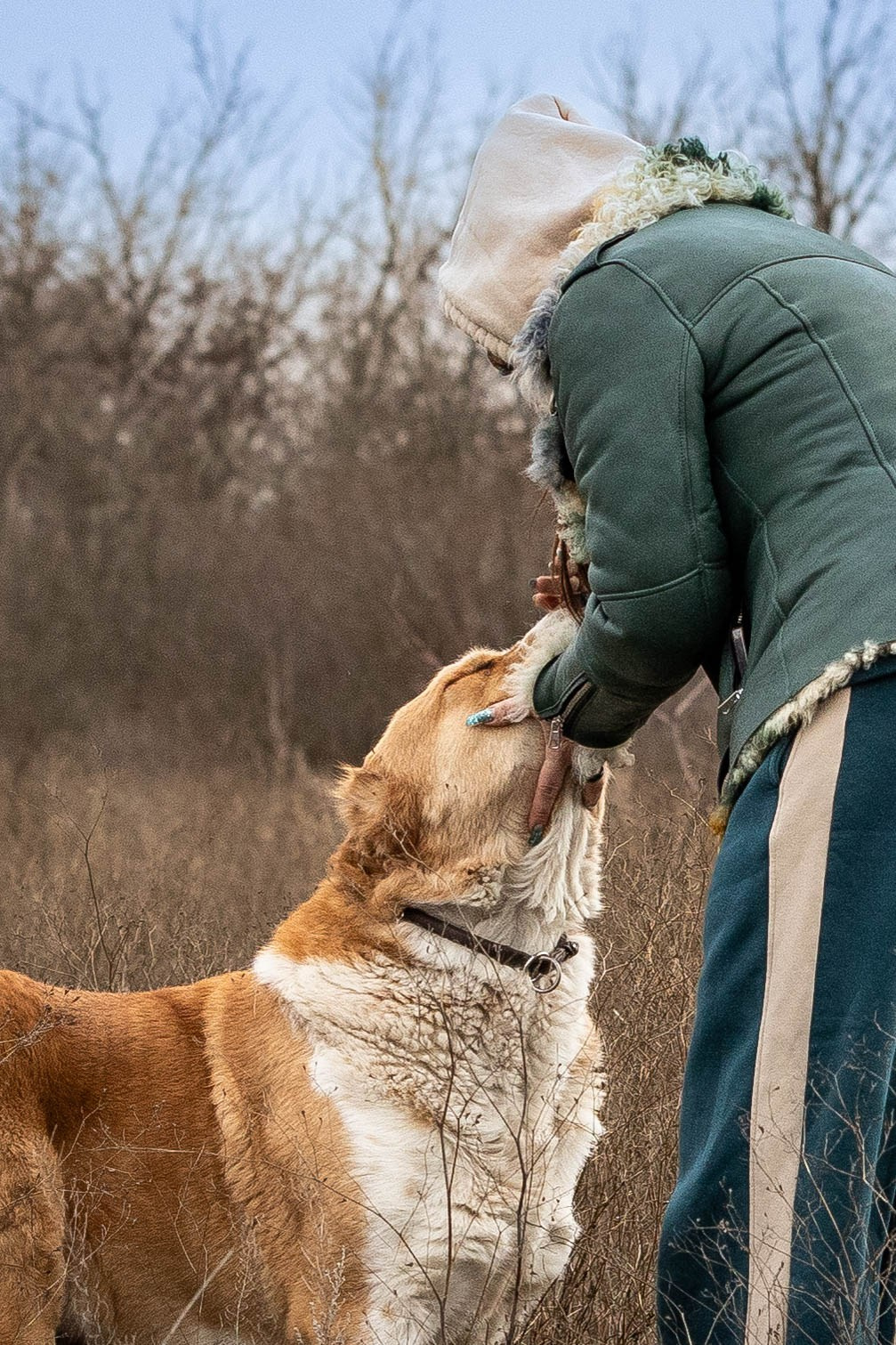 Пальма. Фотограф-АниМалист Анна Абрамова