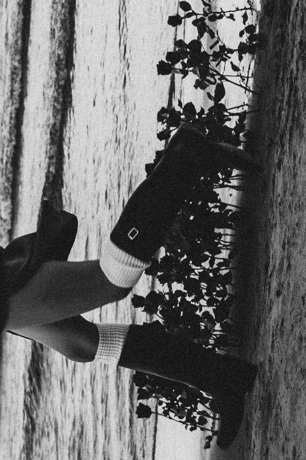 Розы. Профессиональный фотограф, Санкт-Петербург — Виктория Богомолова