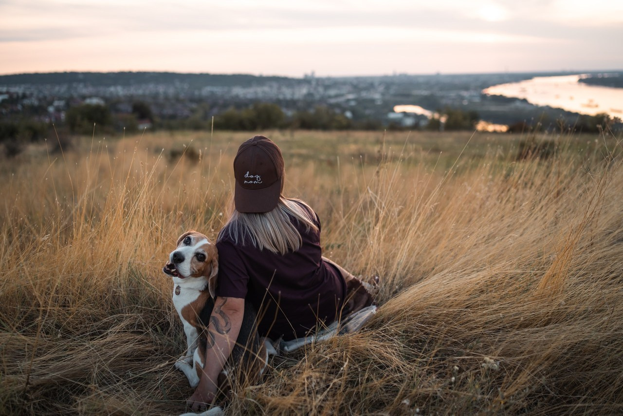 Отзывы. Фотограф анималист
