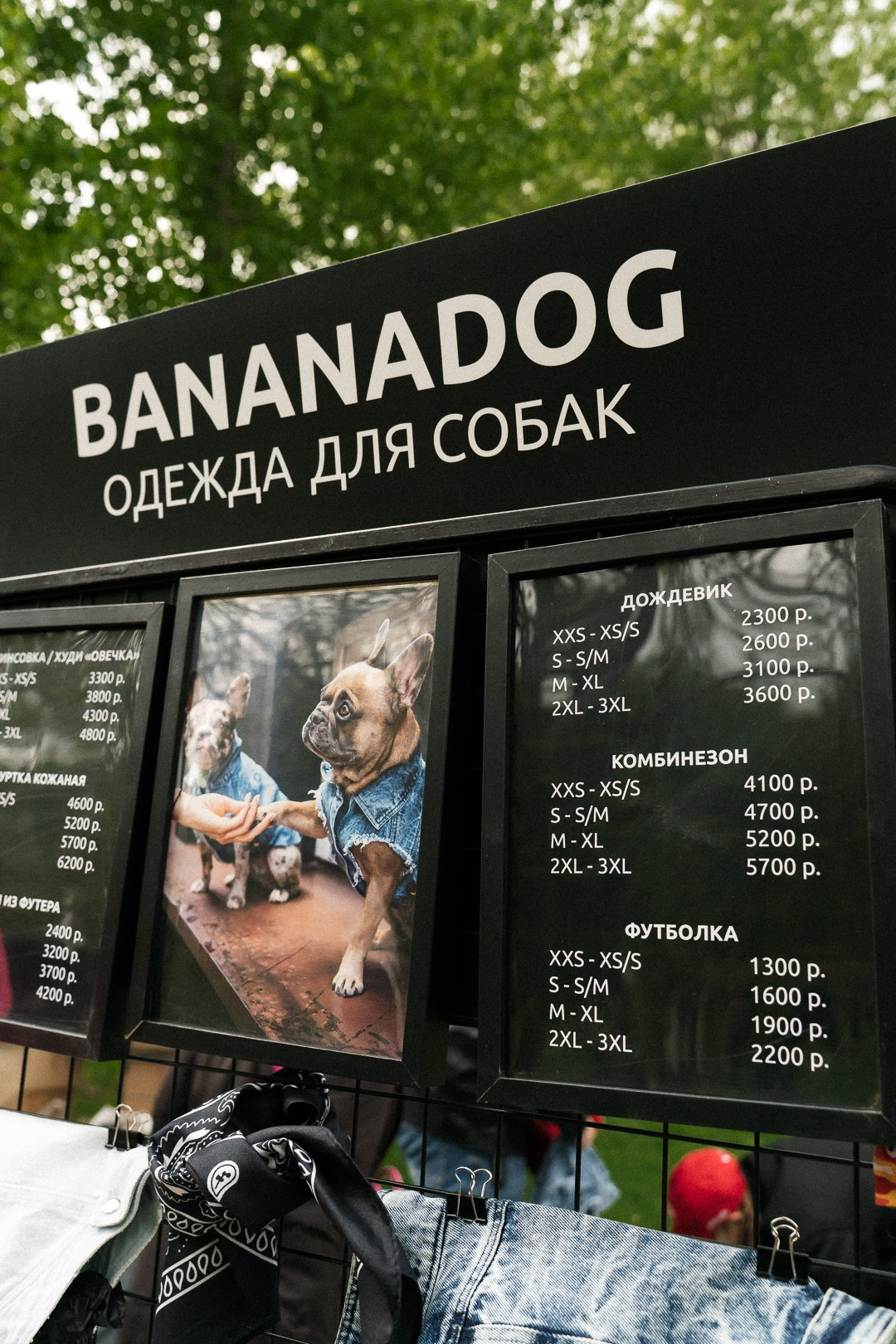 Парад Бульдогов. Axenov_eugene