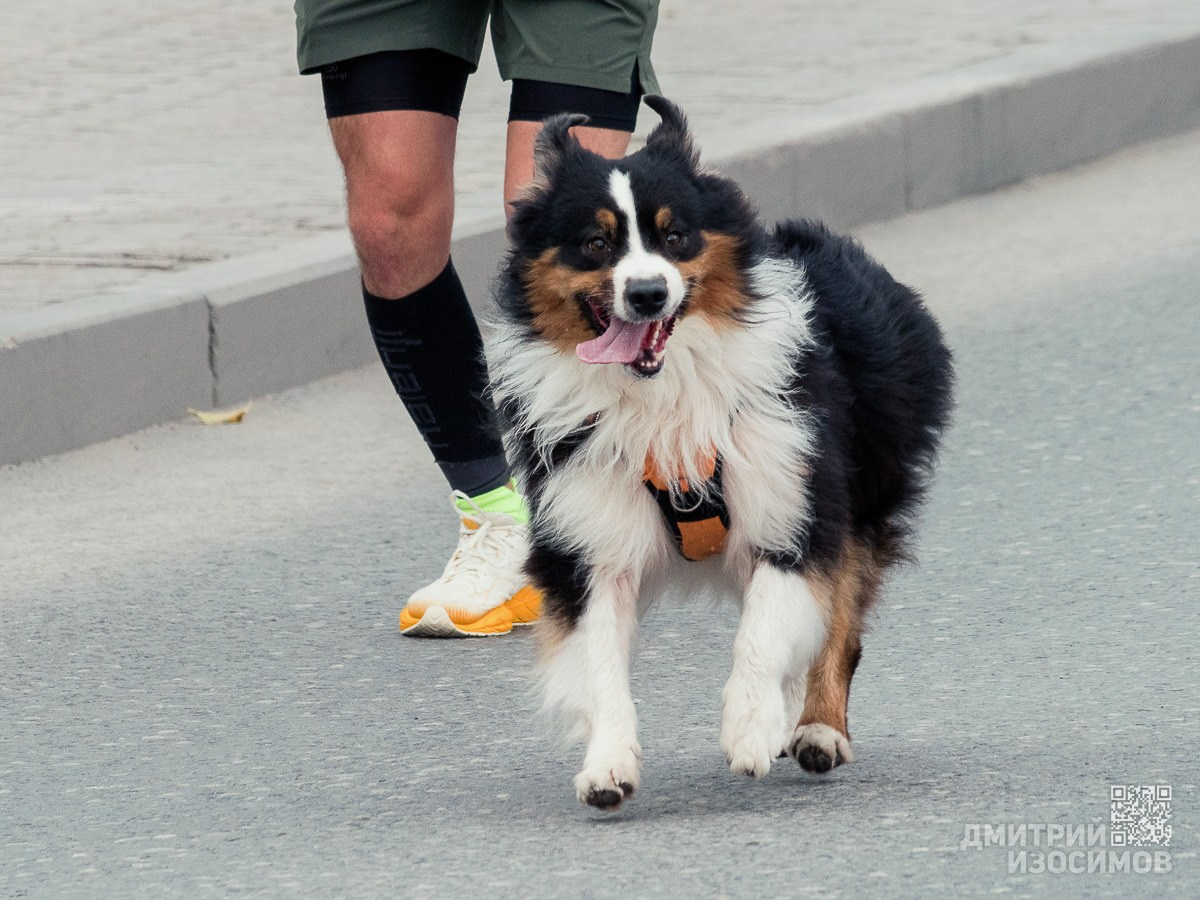Марафон «Врата Сибири»