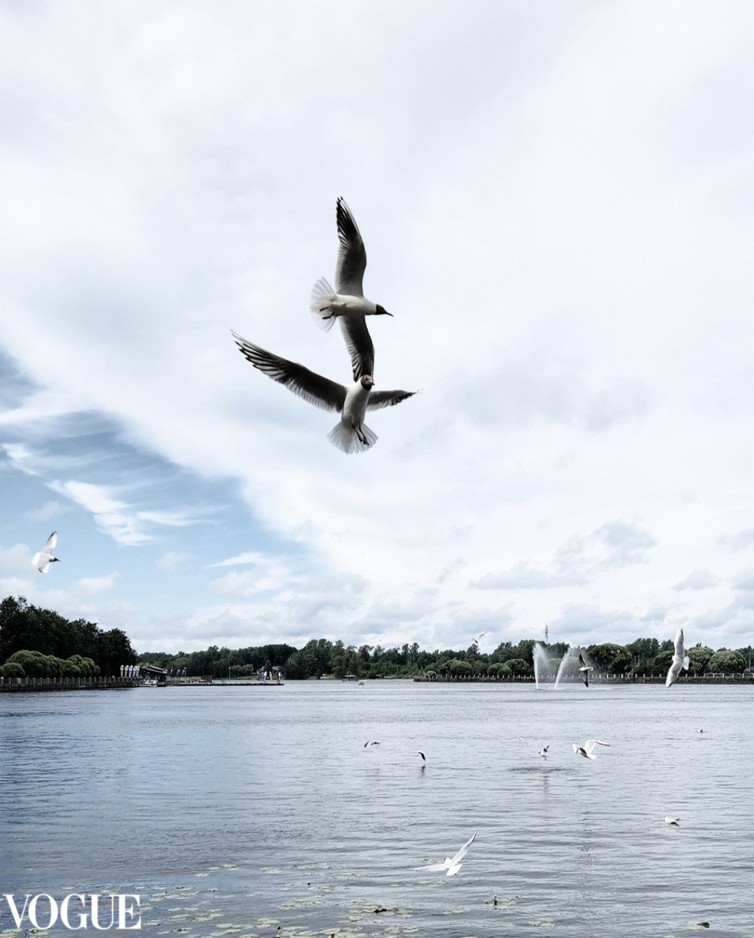 Мои публикации в итальянском журнале VOGUE. Ольга Степанова фотограф визажист в Санкт-Петербурге