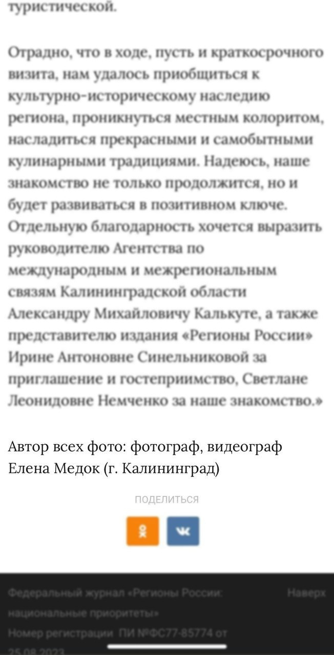 Я — ПАРТНЁР ЭКСКЛЮЗИВНОЙ МЕЖДУНАРОДНОЙ ВСТРЕЧИ. Фотограф Елена Медок Калининград