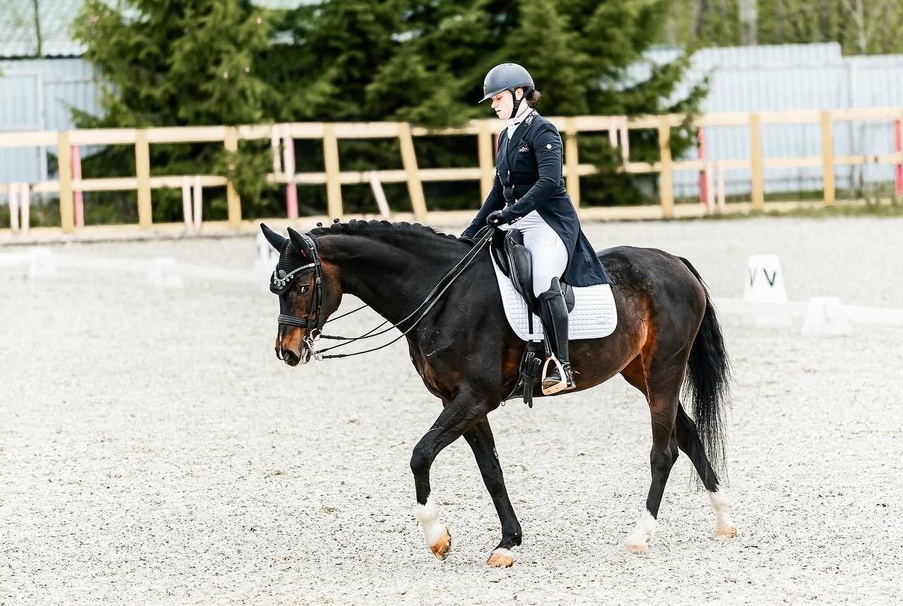 Кубок Московской области по выездке, КСК «Эквиторус». Конный фотограф Куракина Дарья • Фотосессии с лошадьми