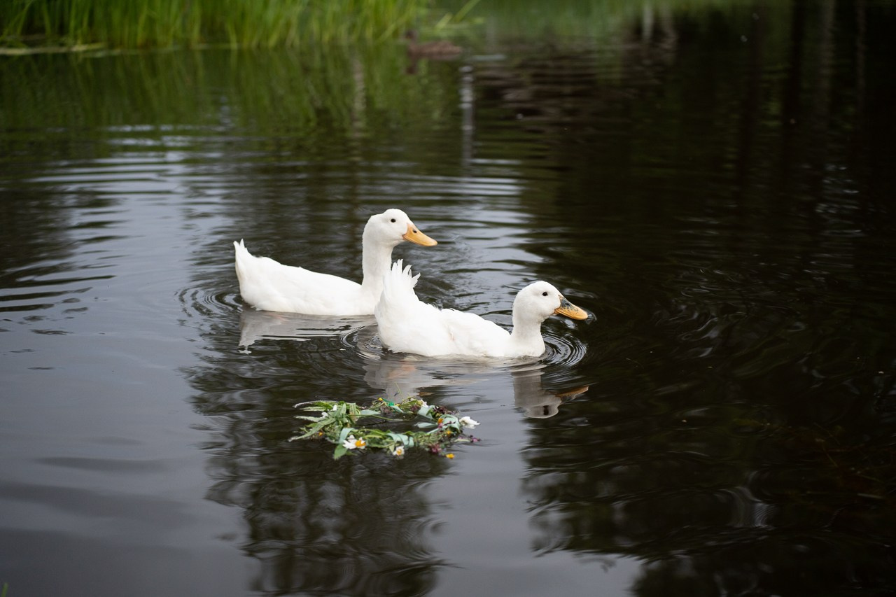 Иван Купала. Ecobelovo. Фотограф Мария Ковкова