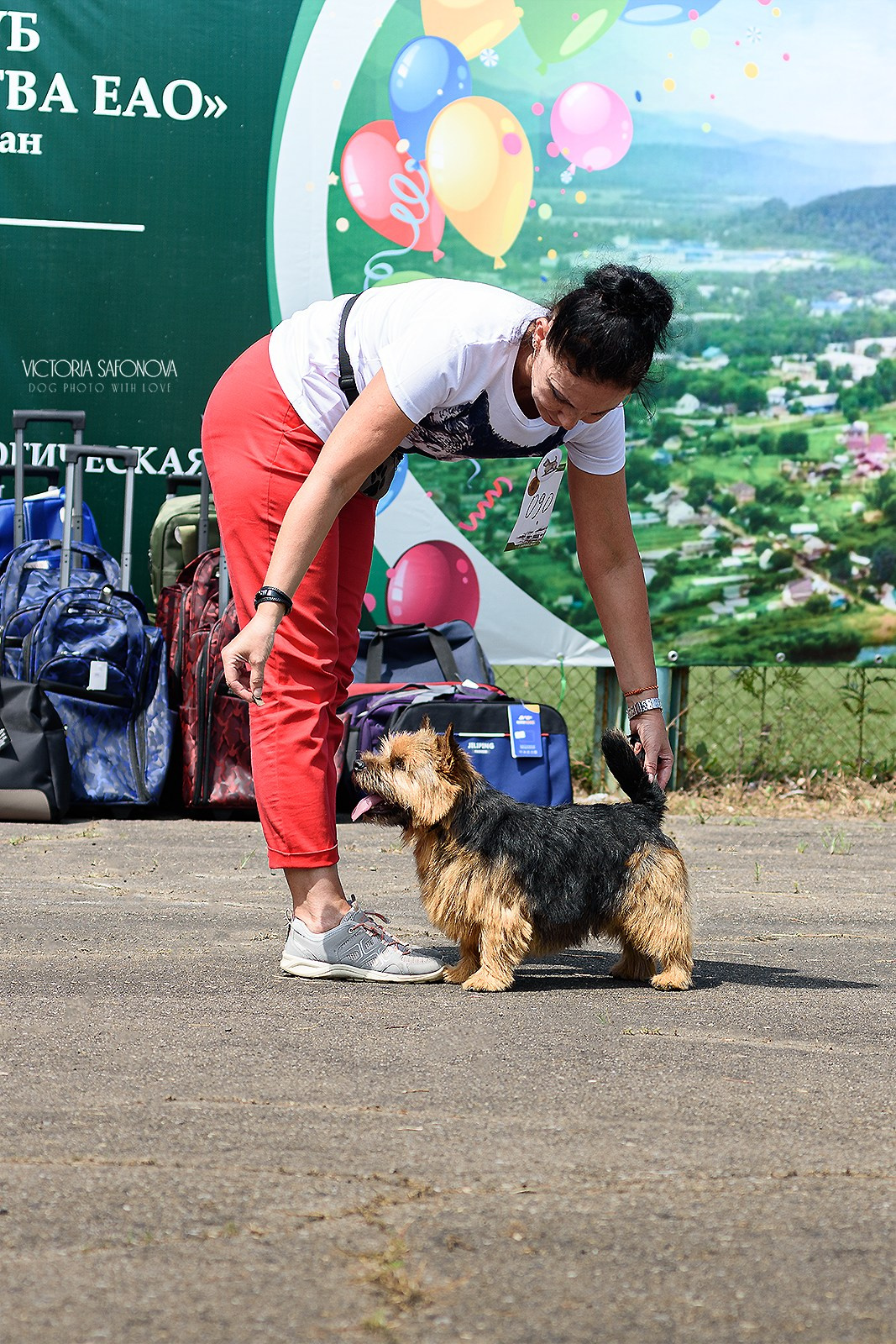 22 июля 2023 Биробиджан. Фотограф анималист Благовещенск. Сафонова Виктория