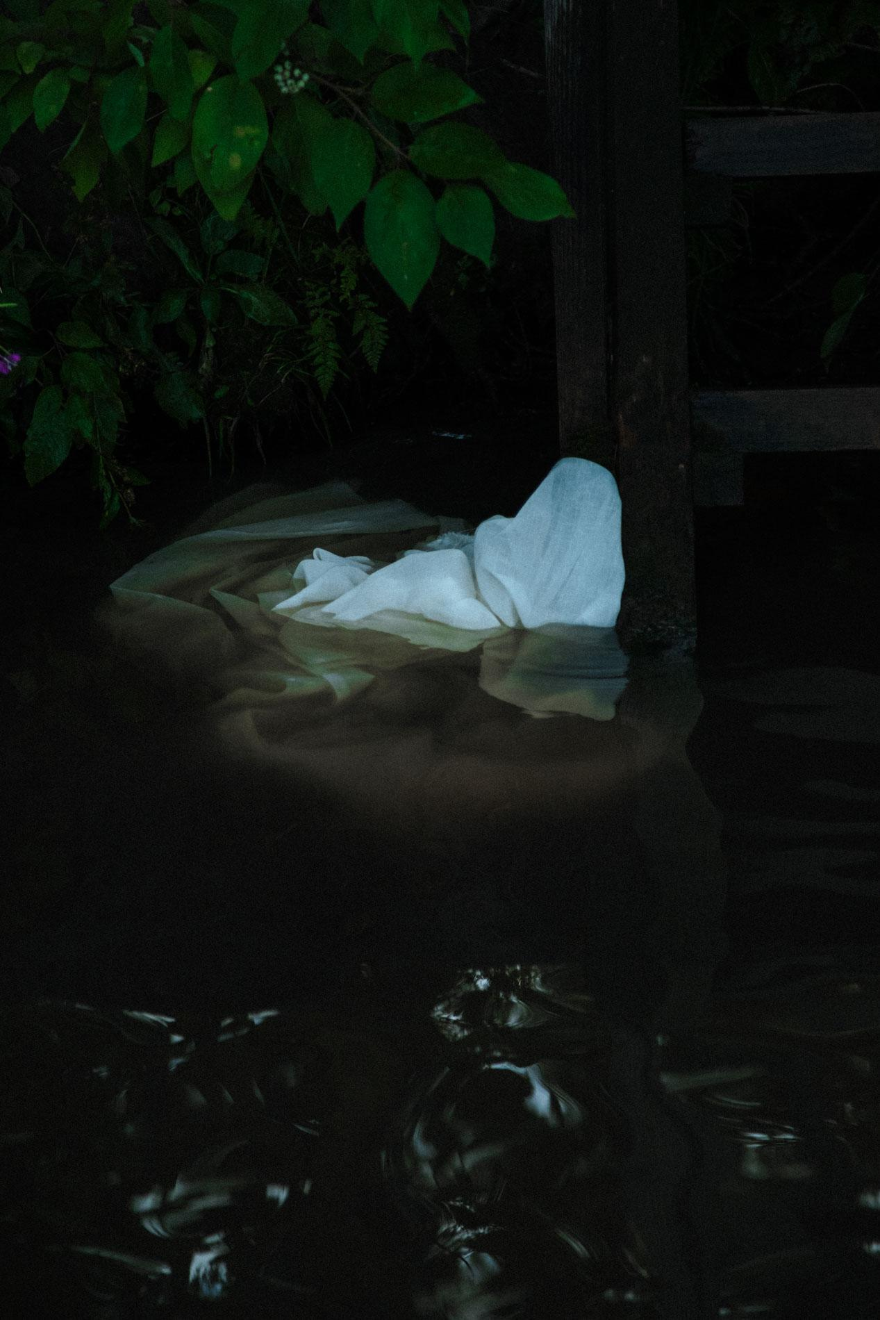 Forest fairies. Home