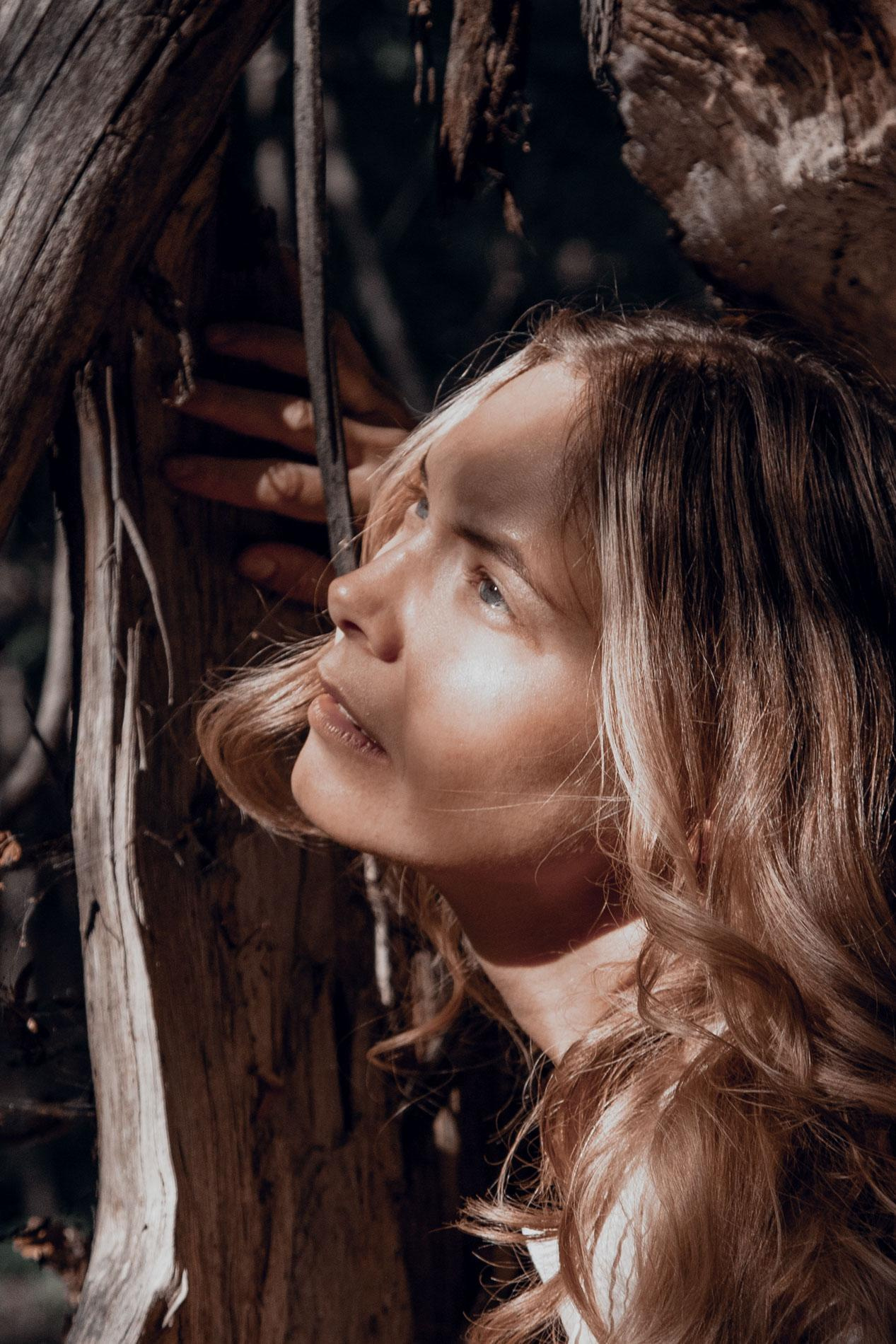 Forest fairies. Home