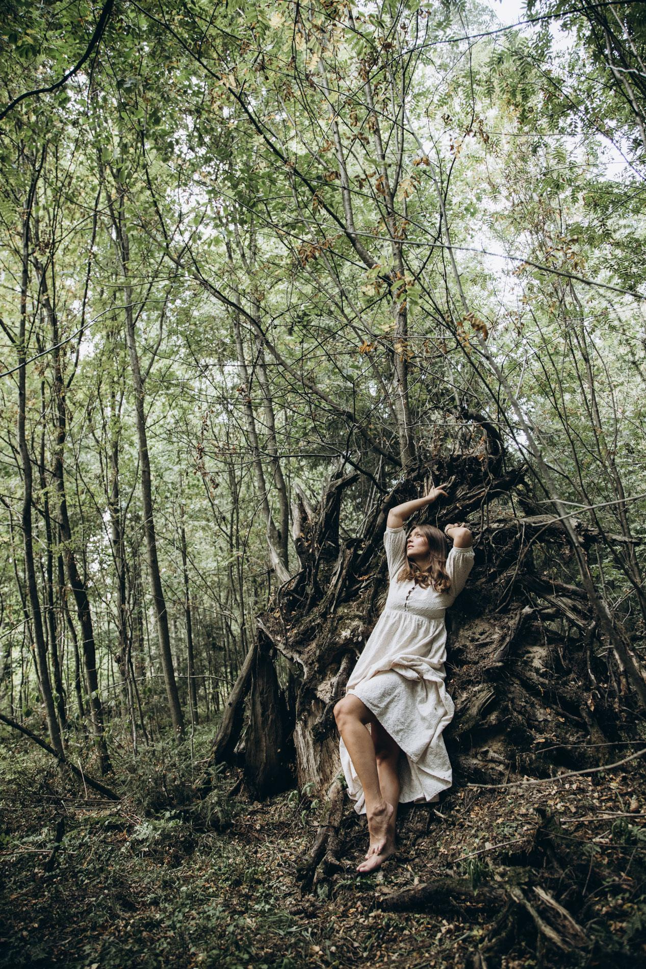 Forest fairies. Home