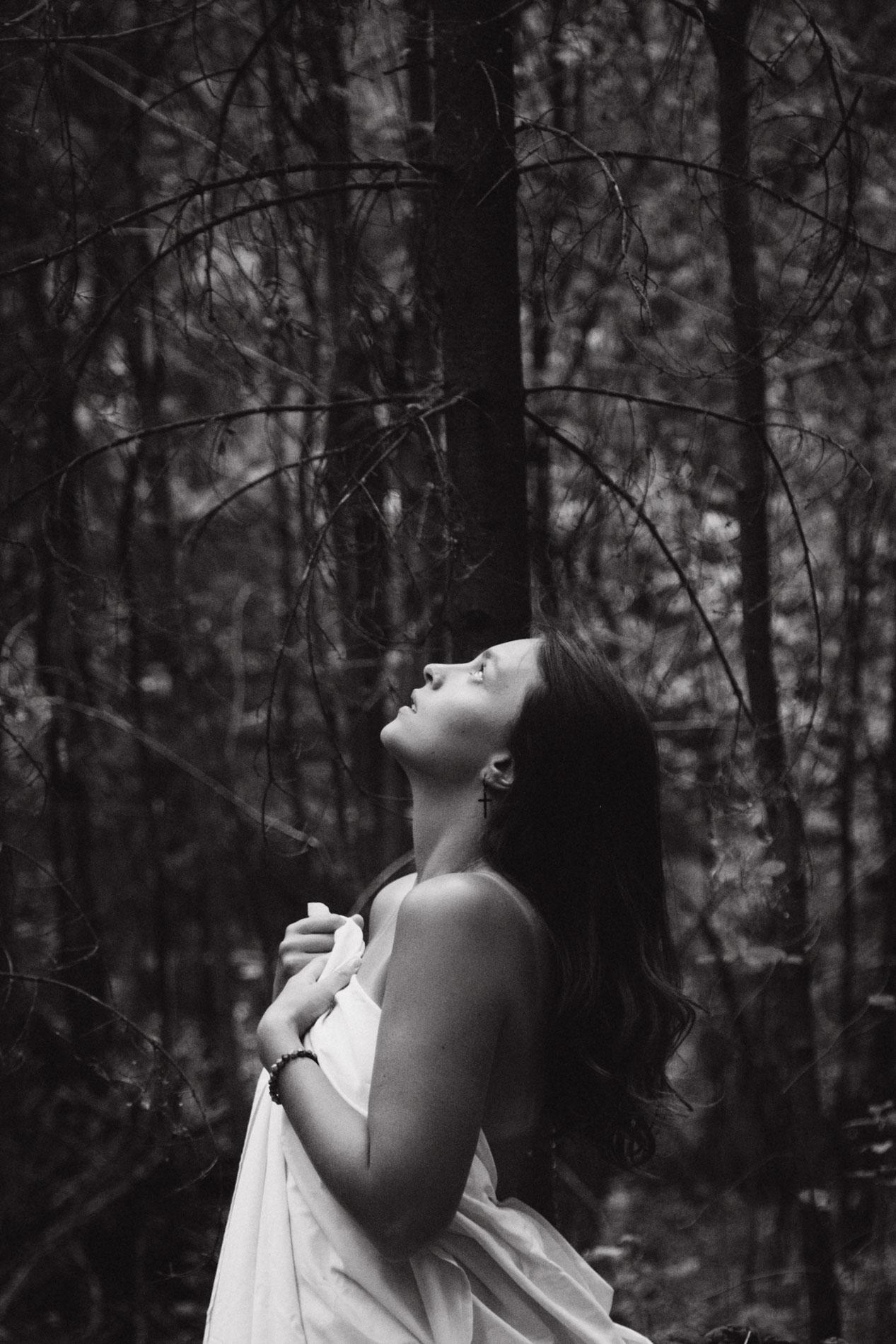 Forest fairies. Home