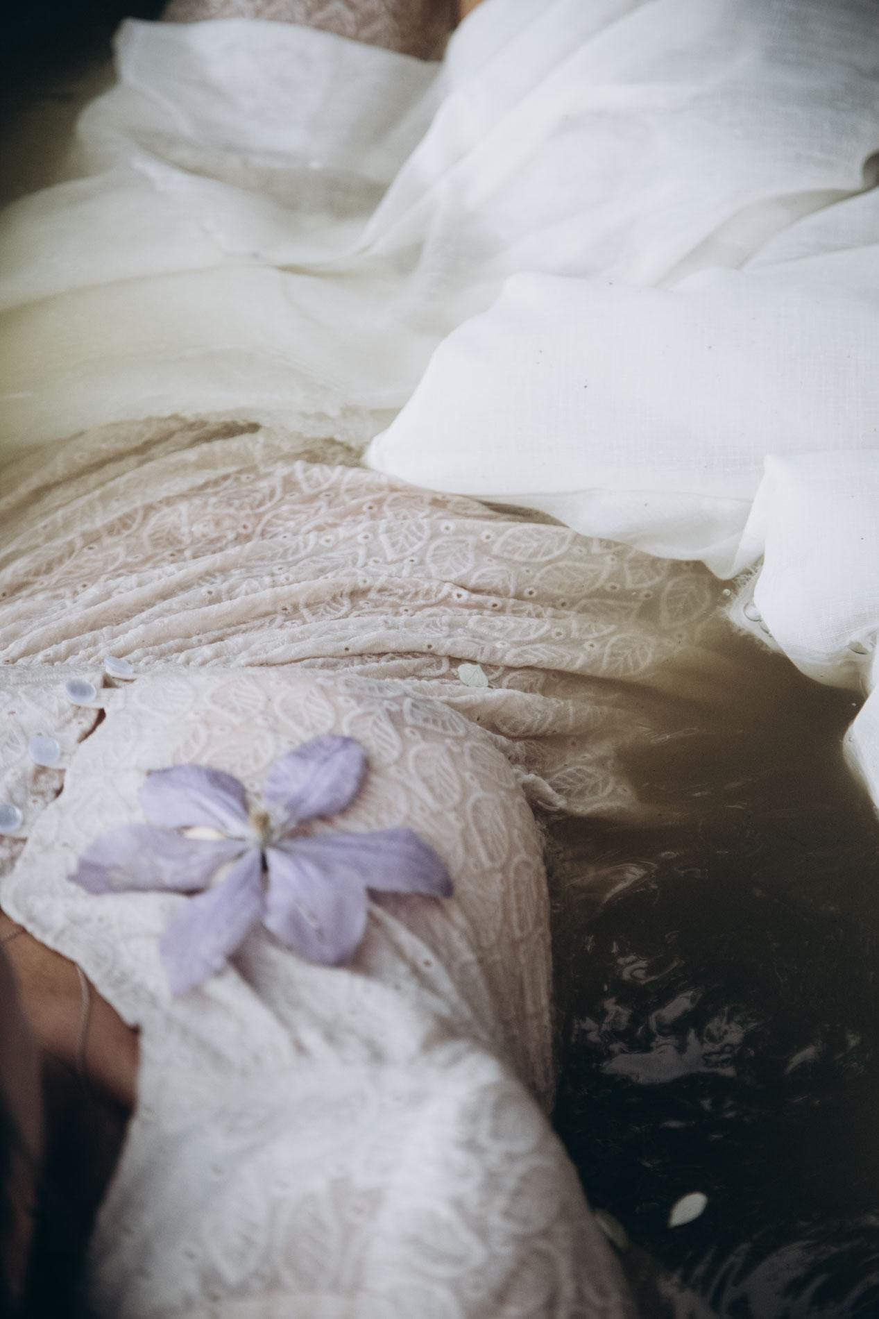 Forest fairies. Home