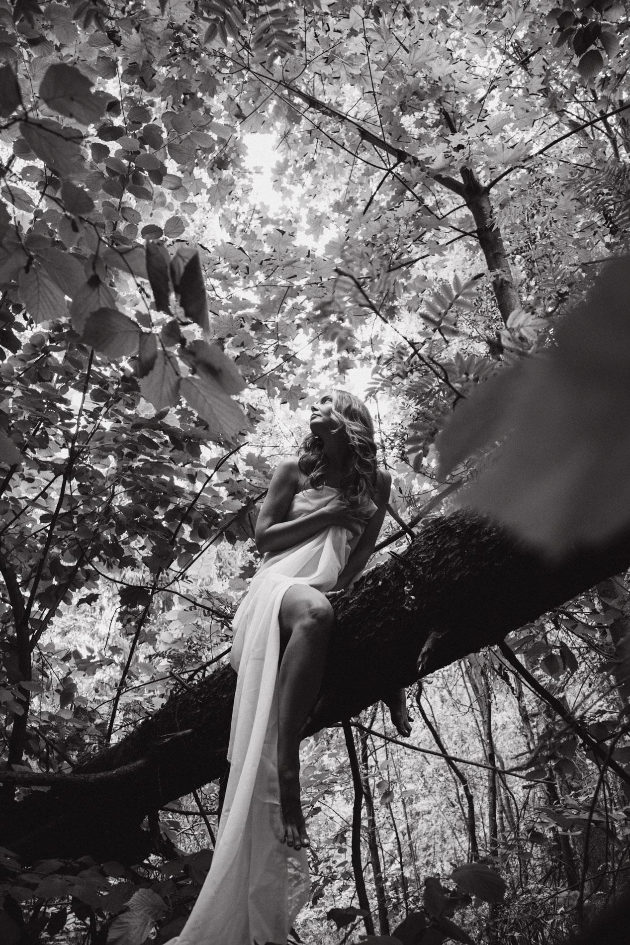 Forest fairies. Home