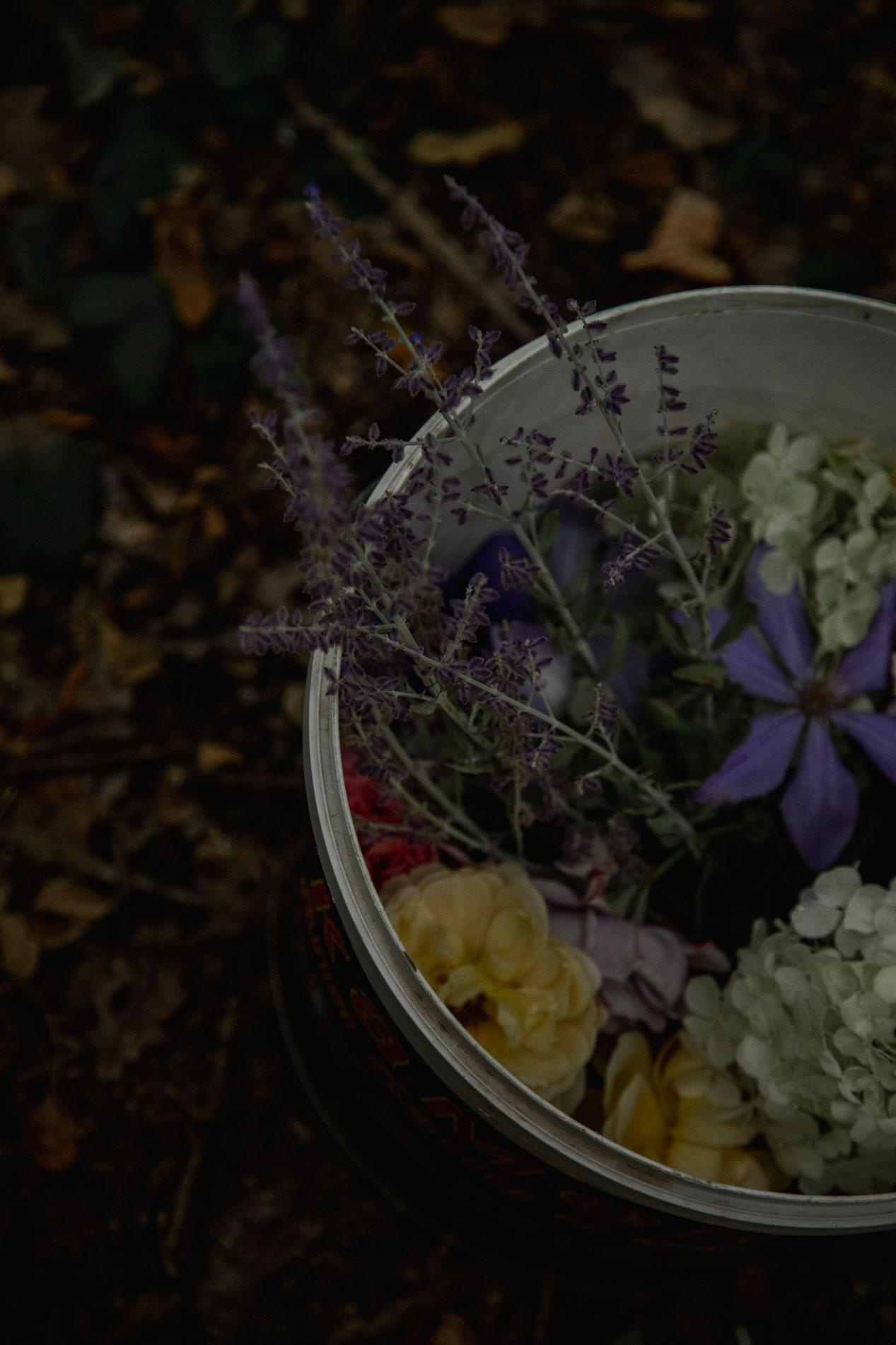 Forest fairies. Home