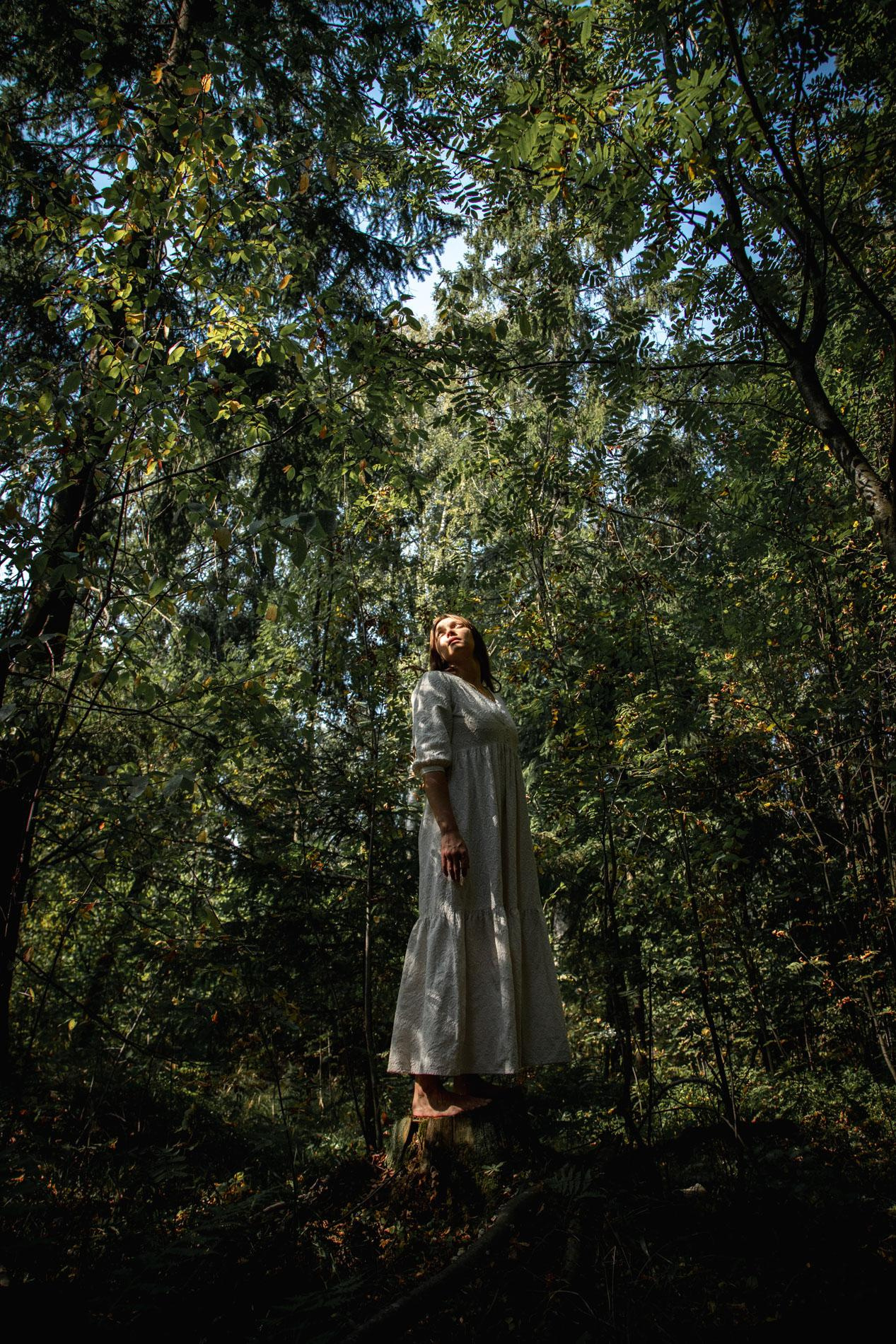 Forest fairies. Home