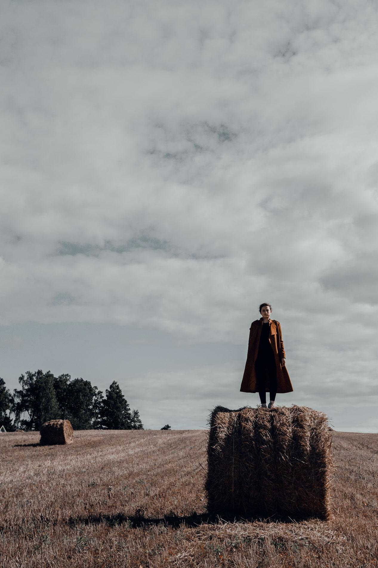 Autumn silence. Home