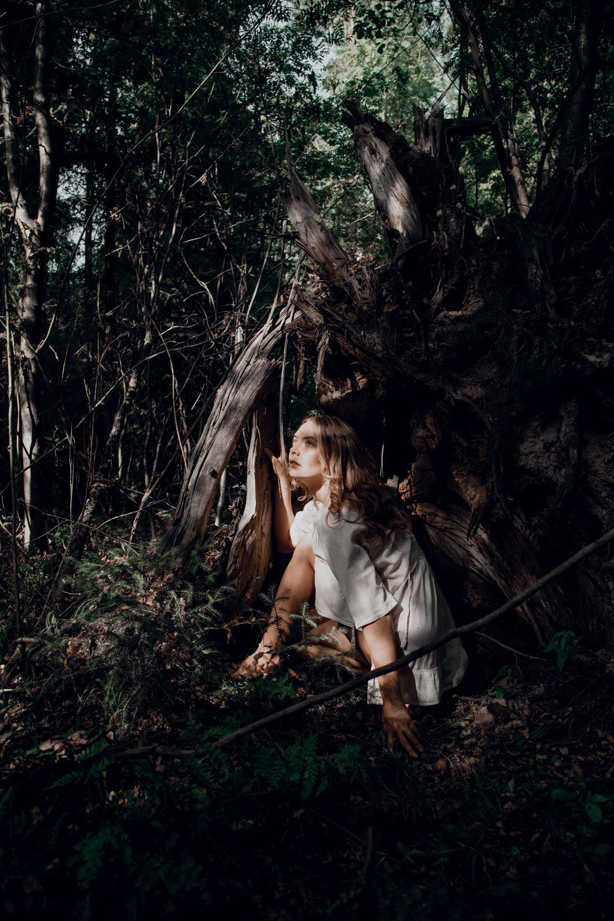 Forest fairies. Home