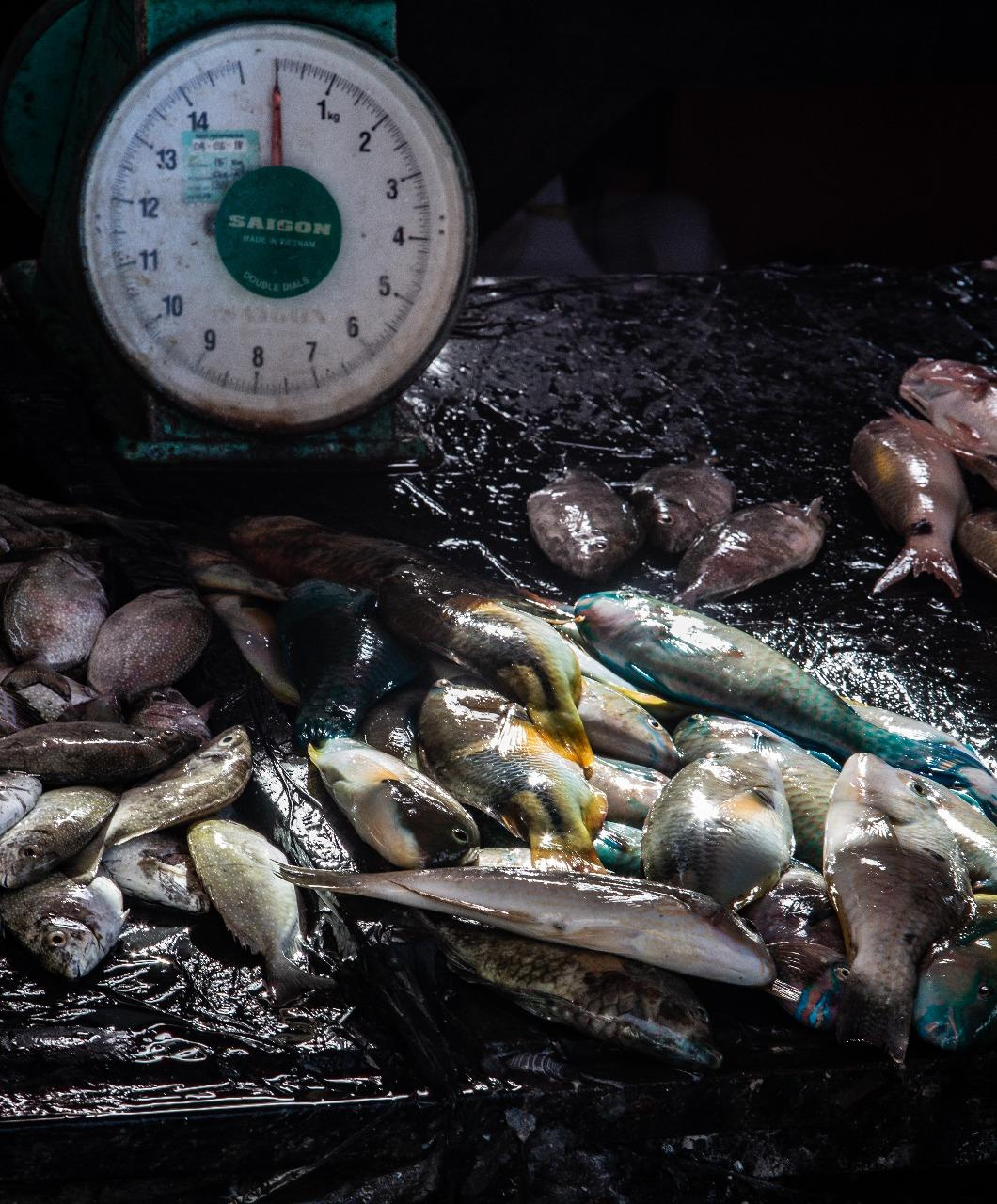 Hidden Malasia. Home