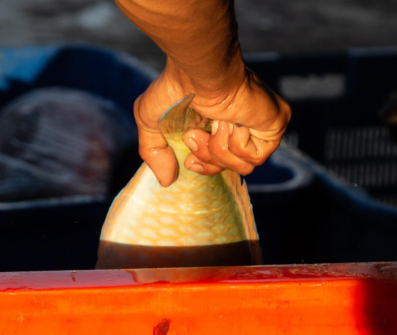 Hidden Malasia. Home