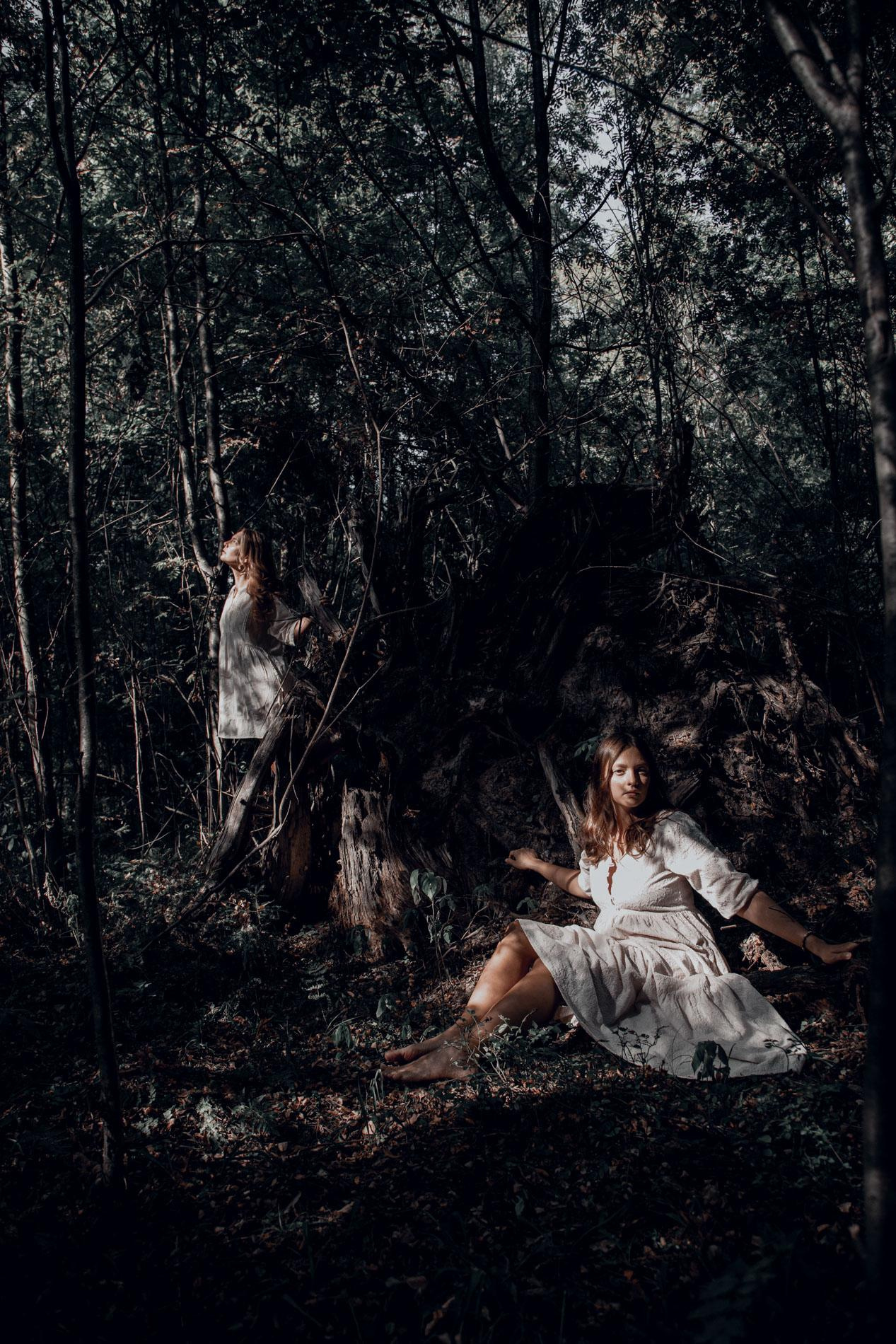 Forest fairies. Home