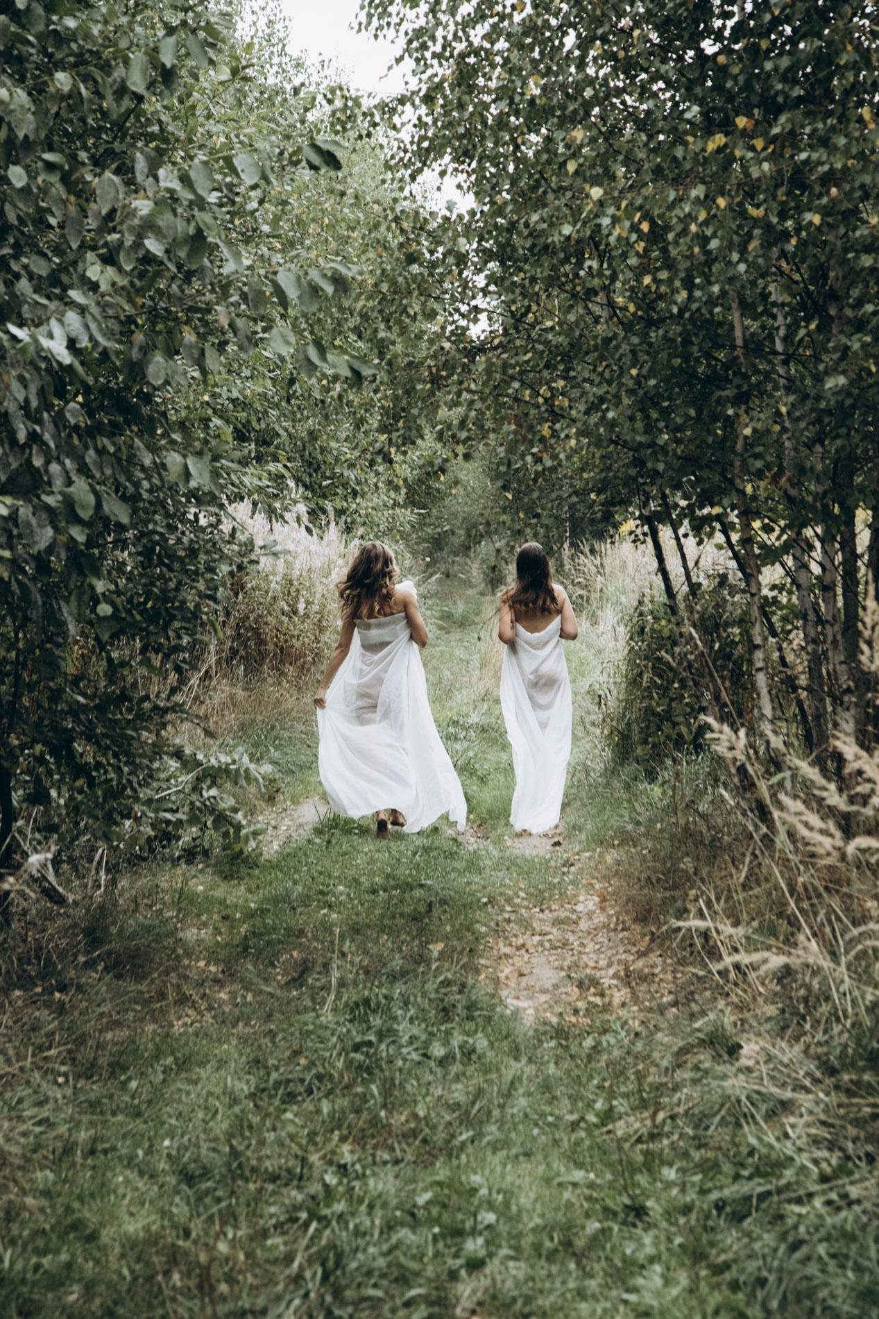 Forest fairies. Home