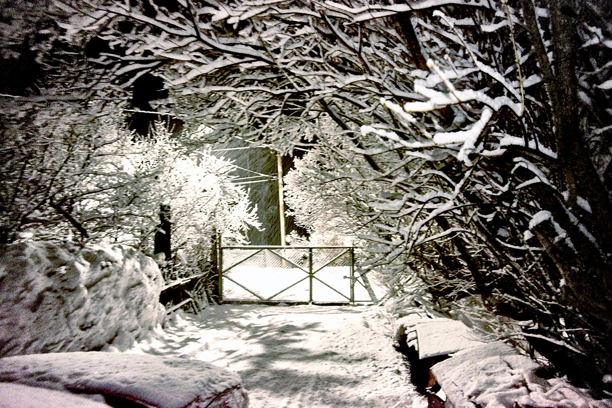 Пейзажи. Ян Кузьмин. Я профессиональный фотограф в Москве