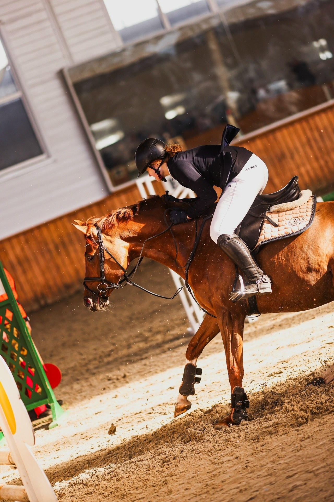 Зимние соревнования. Фотосессии с лошадьми
