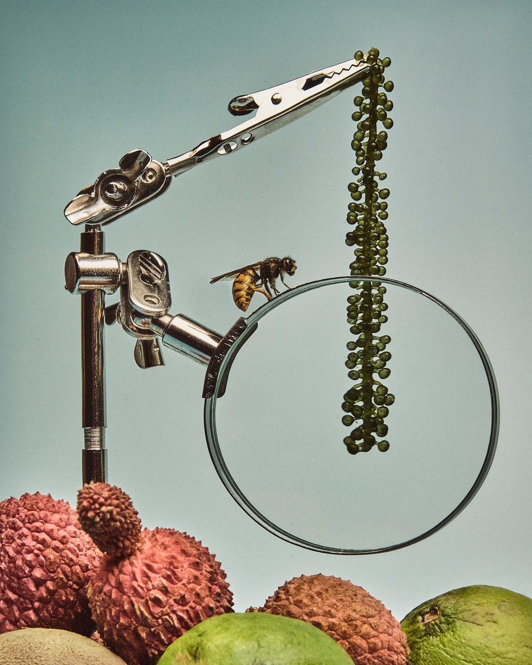 Still life Projects. Фотограф Елена Вороха. Москва