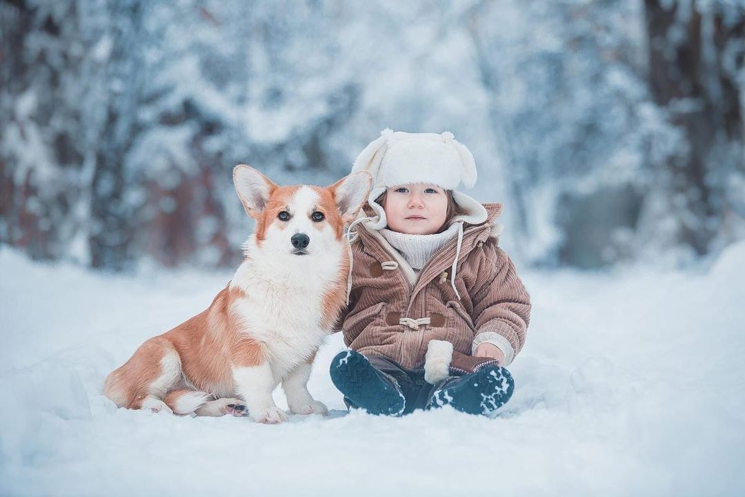 Собаки и их люди❤️. Семейный и детский фотограф в Москве Мария Быкова