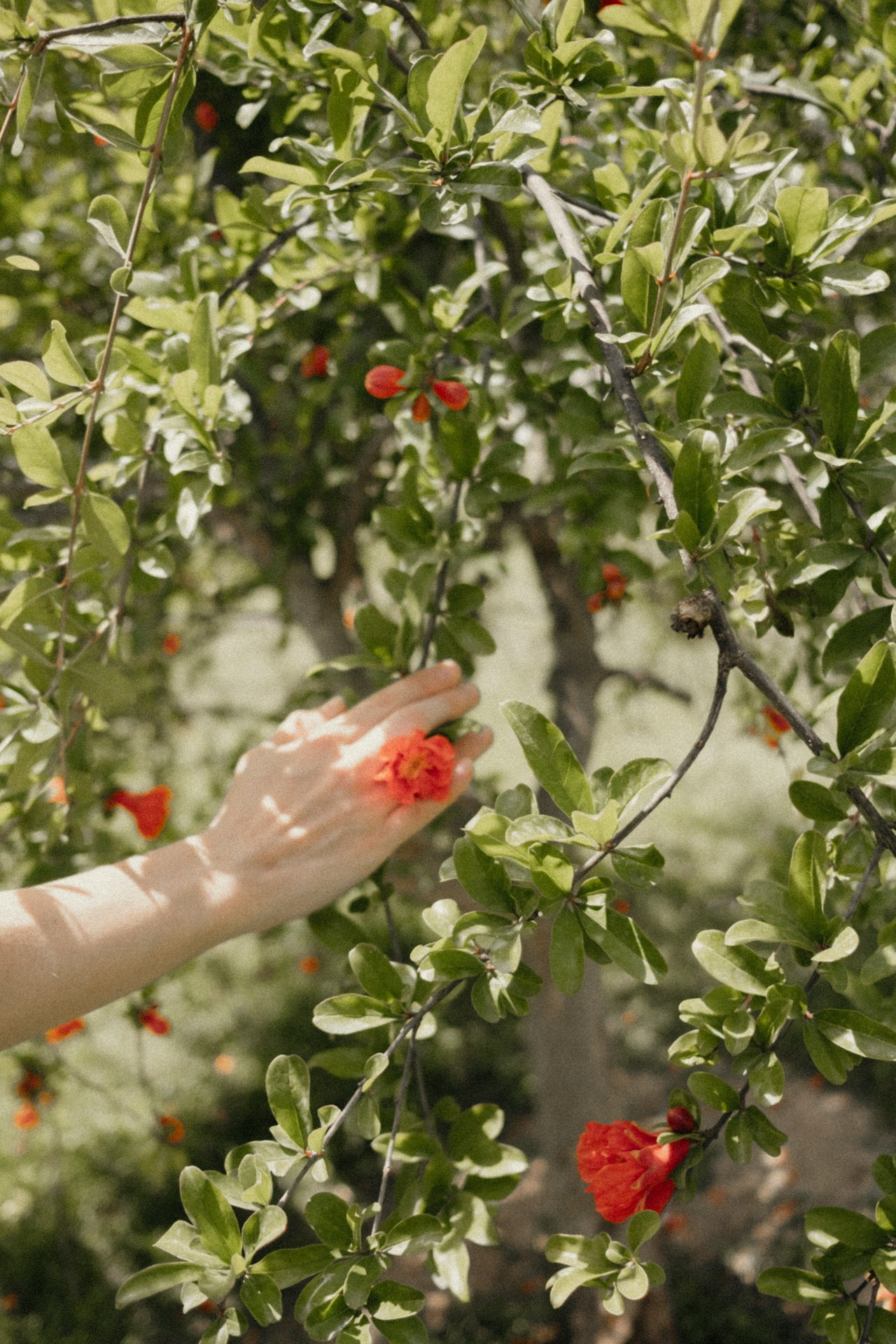 Оксана. Портретный фотограф Алина Хаунина