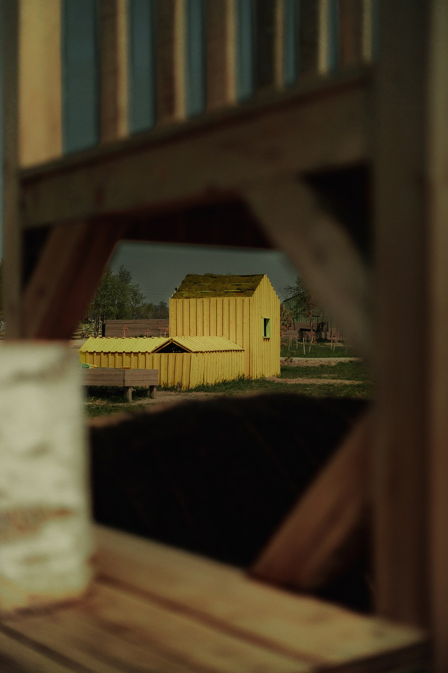 Ферма Альпак Владивосток. Oskar Dallas — professional photographer in Moscow