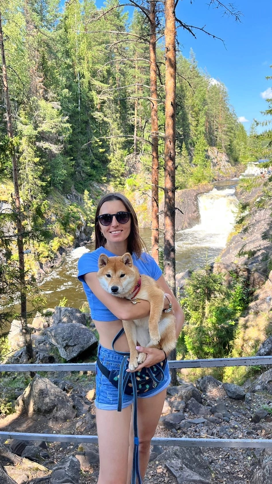 сиба питомник Рубилайт щенки на продажу rubylight  сиба щенки купить