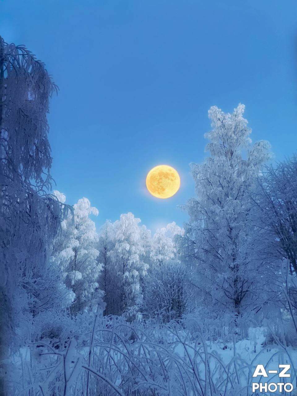 #ФОТОНЕДЕЛИ 15.02.2026. Женский семейный фотограф Тула Москва Захарова Анна