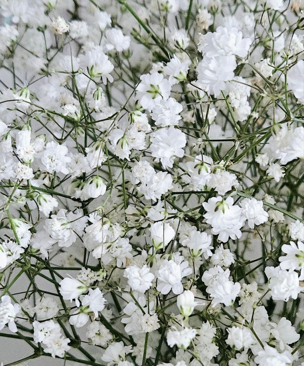 День рождения. Студийный, портретный, семейный фотограф Южно-Сахалинска Яна Радаева