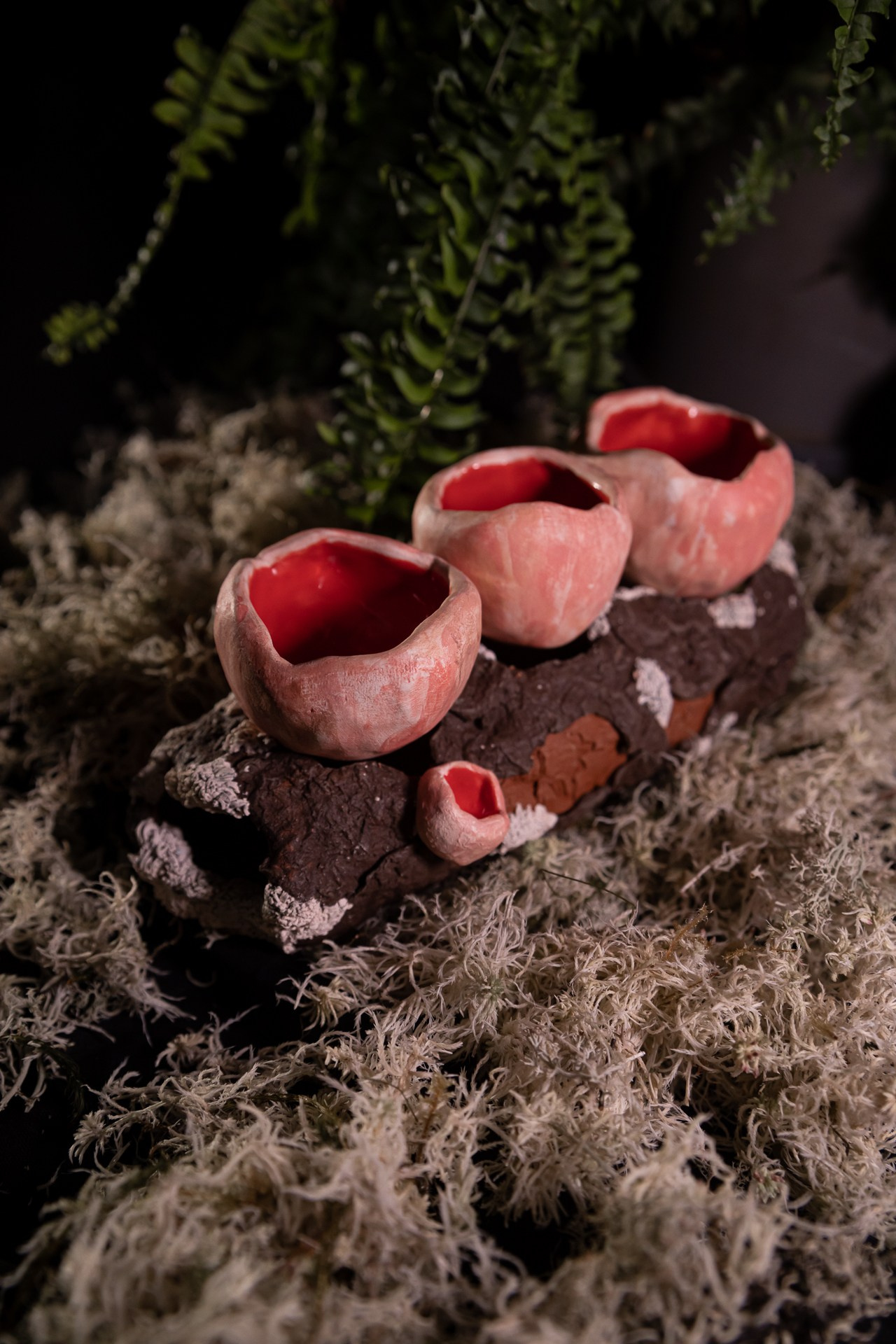 Набор «Саркосцифы» НЕТ В НАЛИЧИИ. Катя Цвет