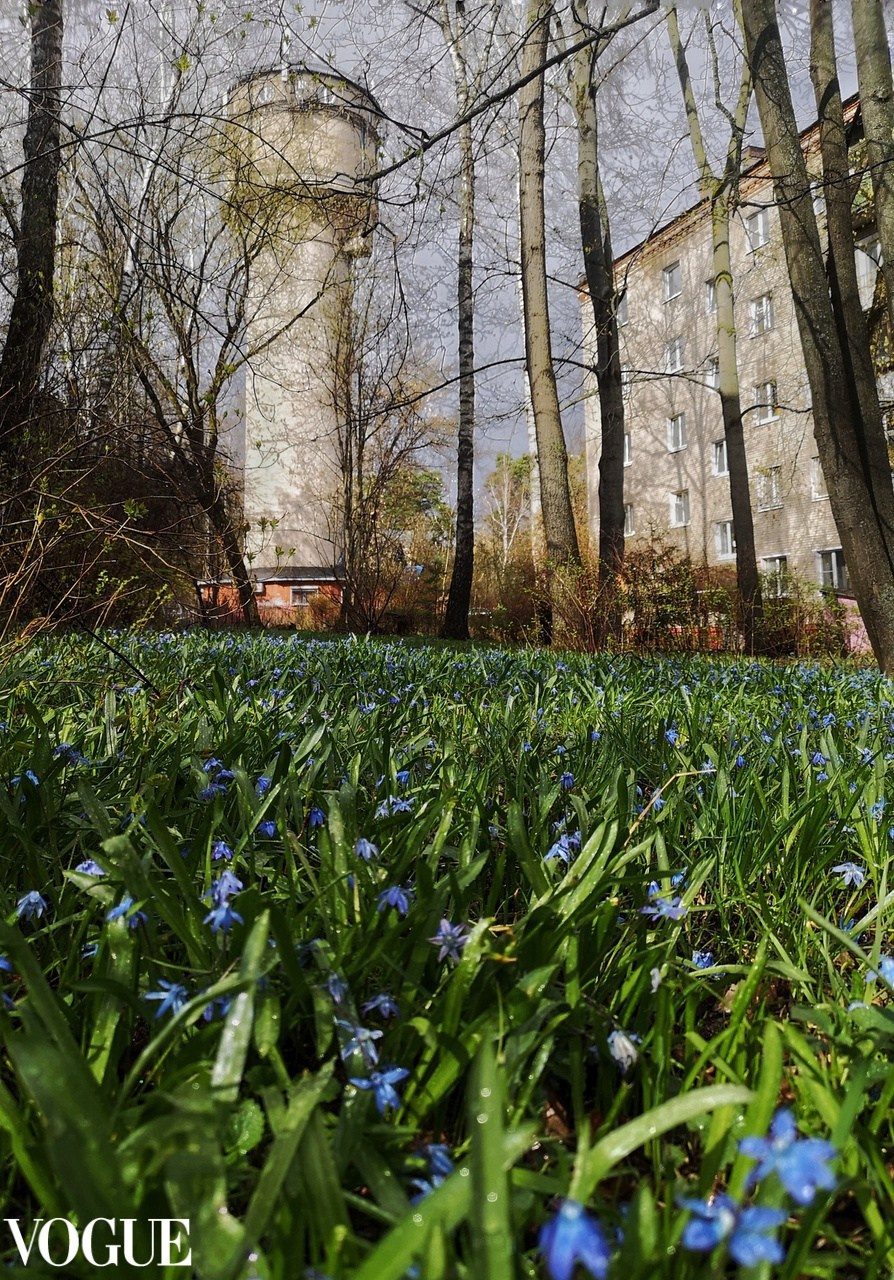 Vogue и другие. Наталия Фролова. Фотограф. Москва