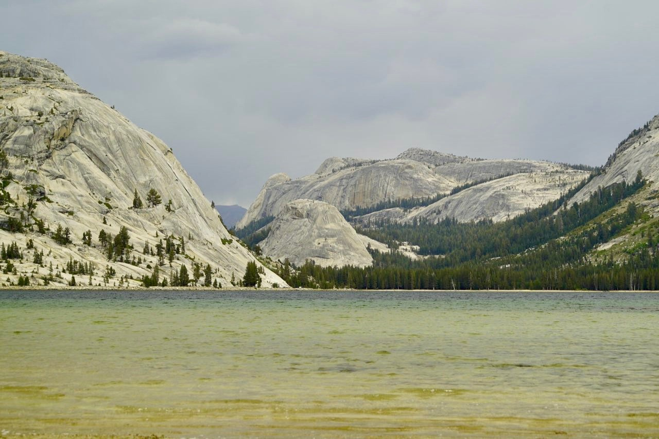 Природа. Василий Буйлов|Vasilii Builov