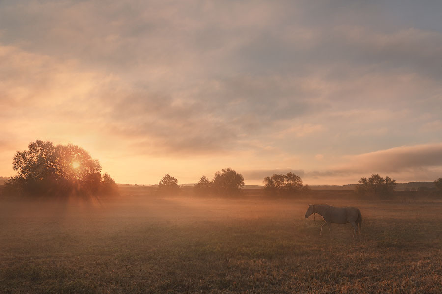 Россия | Фотограф Дмитрий Купрацевич. Дмитрий Купрацевич профессиональный пейзажный и travel-фотограф