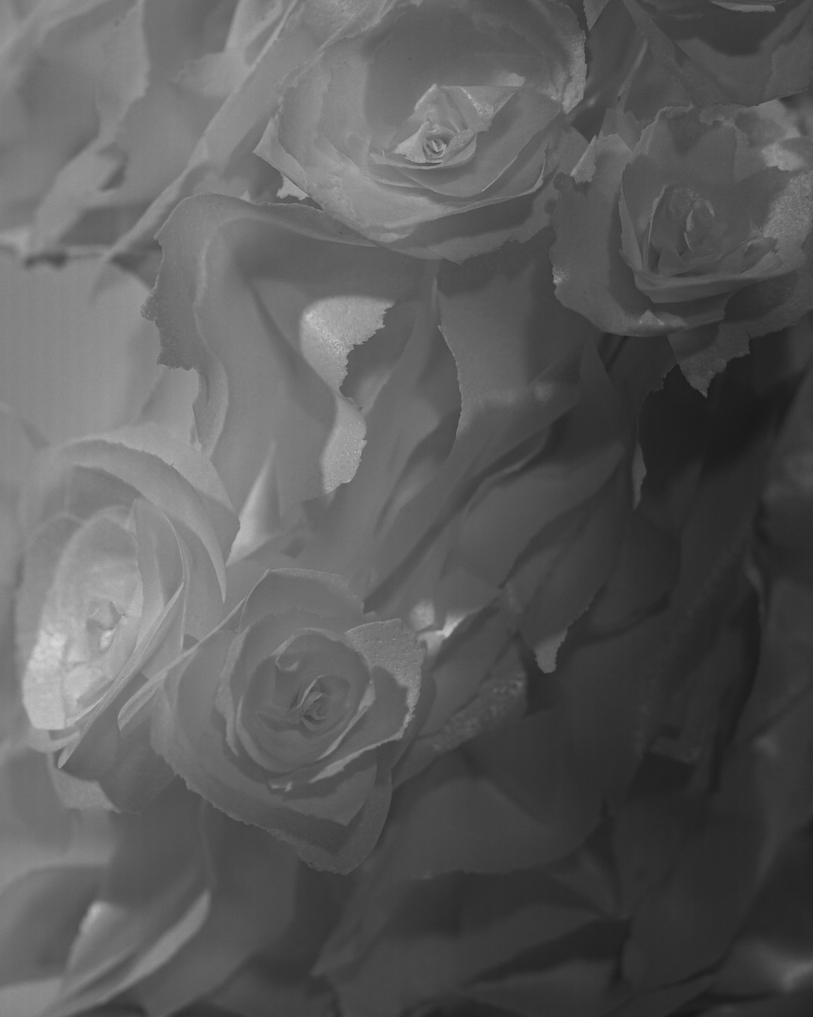 Антон & Адель. Свадебный фотограф Виктория Карпова