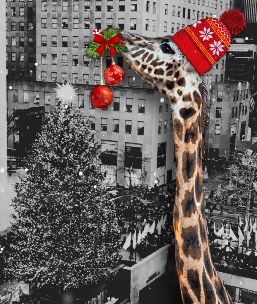 Collages. Марковы: фото, видео, кино и книги