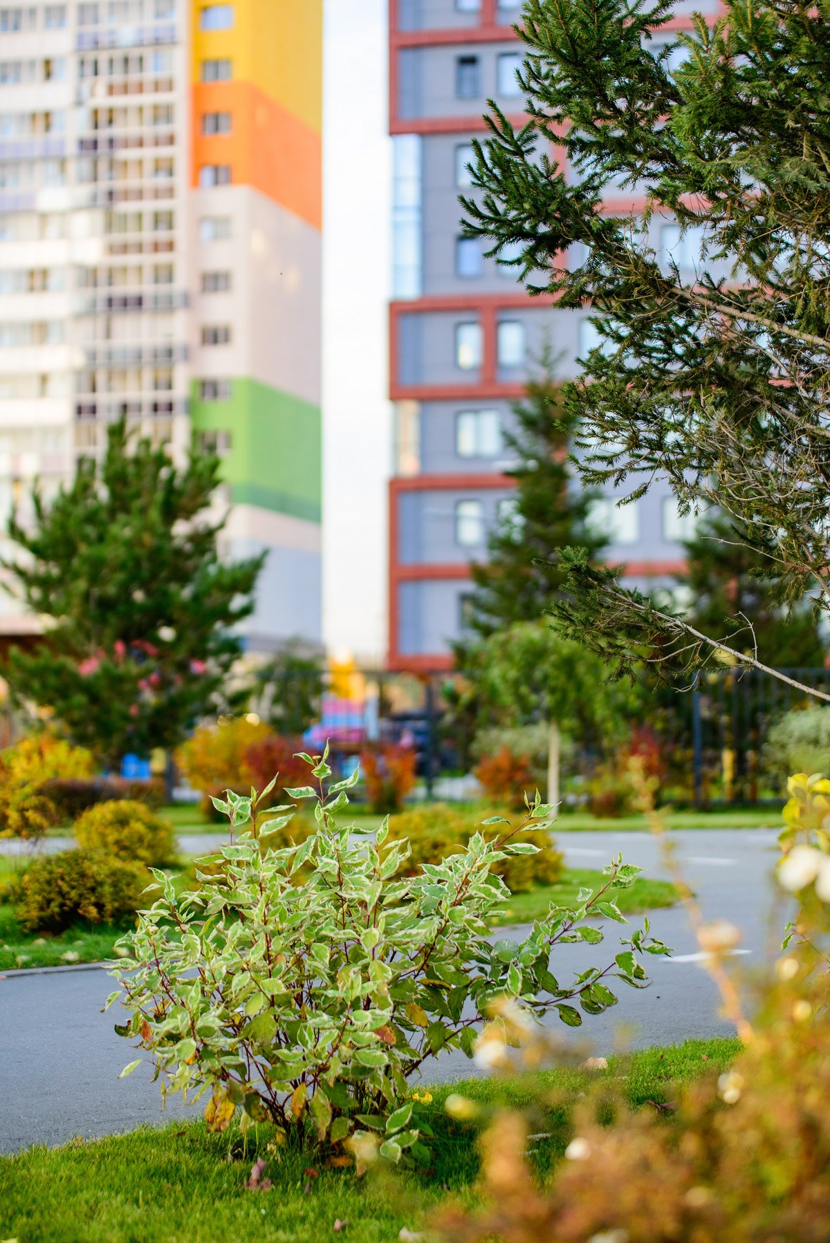 ЖК Ясный Берег. Фотограф Сергей Сергеев