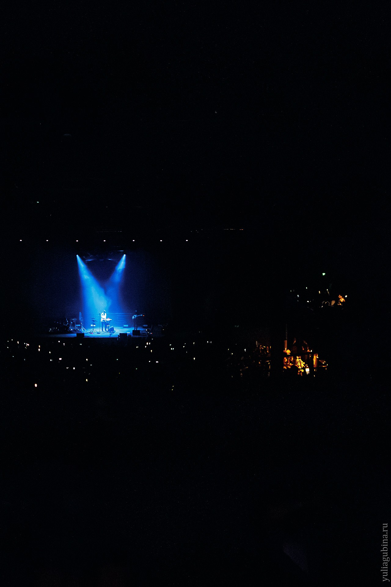 Дельфин, 01.12.24, Atmosphere