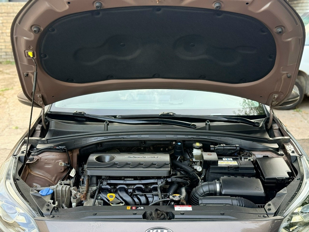 Kia Ceed. Светопись: православная фотография и детейлинг | Тихвин