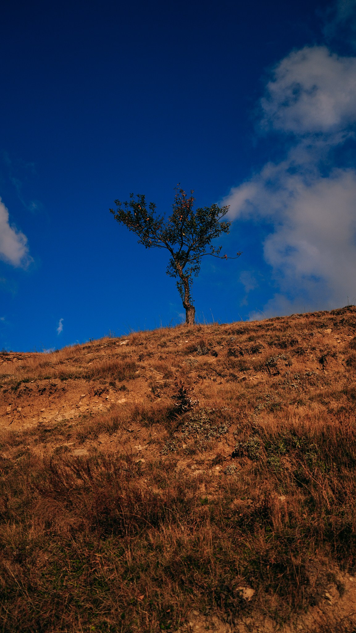 Дагестан 2023. Человек с фотокамерой