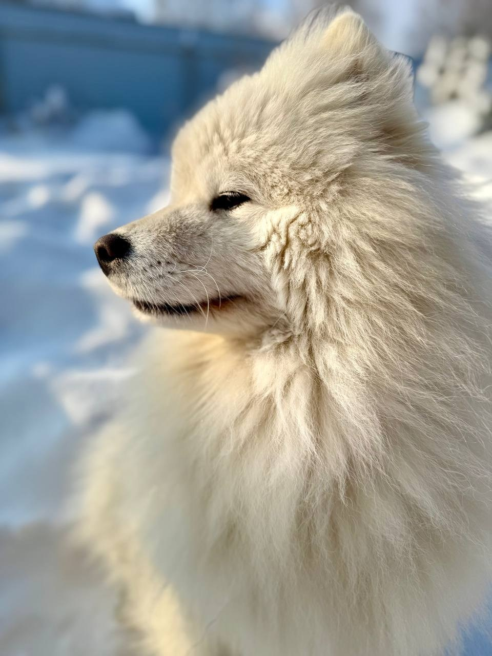 Зима. Детский и семейный фотограф Калугина Марина | Москва и МО