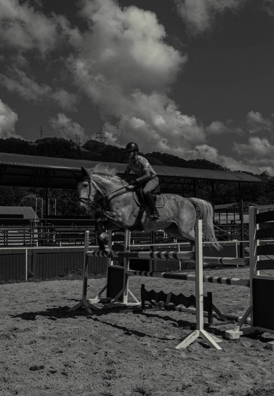 Фотосессия на конюшне в Сочи. Портфолио фотографа Анастасии Блохиной