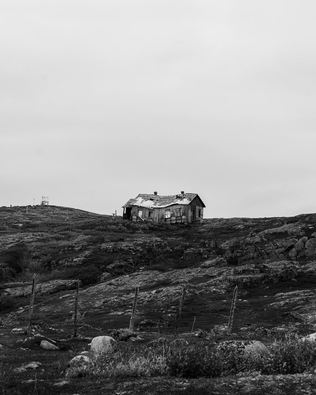 Териберка 2025. Фотограф Михаил Олейник